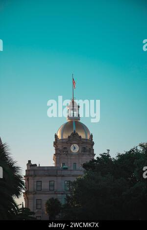 La torre dell'orologio del municipio di Savannah, Georgia, attraversa alcuni alberi in una giornata limpida. Foto Stock