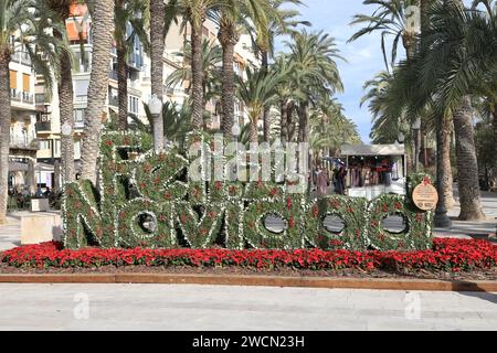Una decorazione di piante di Feliz Nazidad adorna la fine della passeggiata Explanada. Alicante è un'importante destinazione turistica nel sud-est della Spagna. Foto Stock