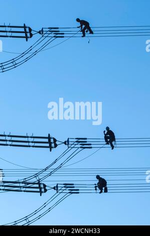 Installatori di linee aeree che lavorano su un pilone ad alta tensione, linee aeree, energia, lavoratori, elettricisti ad alta tensione, Baden-Wuerttemberg, Germania Foto Stock