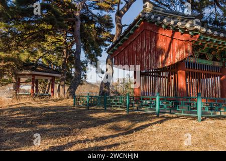 Padiglione coreano in colori tradizionali con colonna di legno e tetto piastrellato sotto un grande albero sempreverde in un soleggiato pomeriggio invernale in gennaio Foto Stock