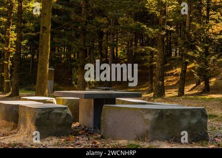 Tavolo da picnic in cemento in radura ai margini dell'area boschiva del parco pubblico Foto Stock