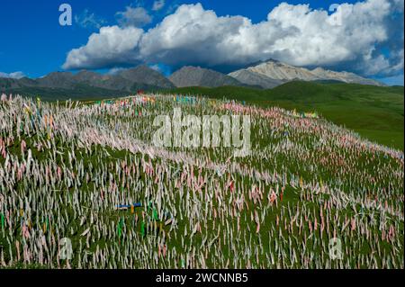 Tibet, Kham, Litang. Nomadi tibetani vicino a Litang. Collina coperta da bandiere di preghiera. Foto Stock