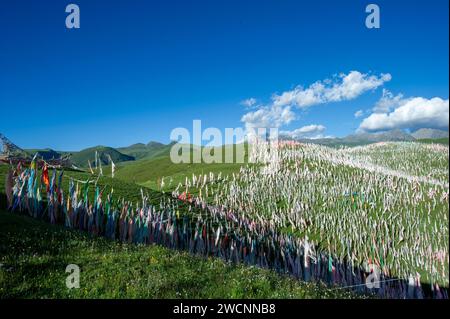 Tibet, Kham, Litang. Nomadi tibetani vicino a Litang. Collina coperta da bandiere di preghiera. Foto Stock