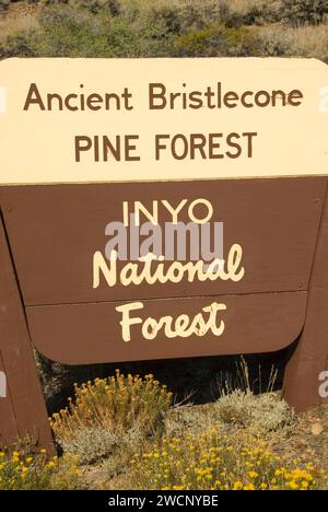 Ingresso segno, Bristlecone antica foresta di pini, antica Bristlecone National Scenic Byway, Inyo National Forest, California Foto Stock