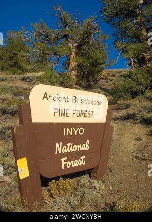 Ingresso segno, Bristlecone antica foresta di pini, antica Bristlecone National Scenic Byway, Inyo National Forest, California Foto Stock