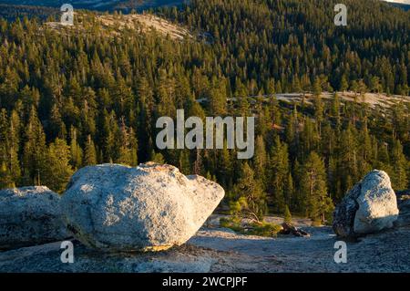 Boulder on Sentinel Dome, Yosemite National Park, California Foto Stock