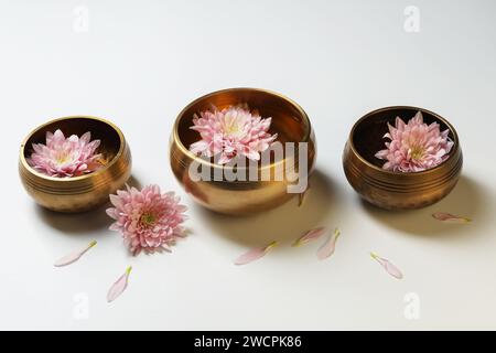 Ciotole tibetane con acqua e splendidi fiori di crisantemo su sfondo bianco Foto Stock