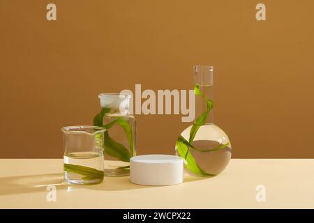 Podio rotondo di colore bianco decorato con bicchiere di vetro, vaso e fiasca di alghe marine a fondo piatto. Spazio vuoto per visualizzare il prodotto. Conn. Laboratorio Foto Stock