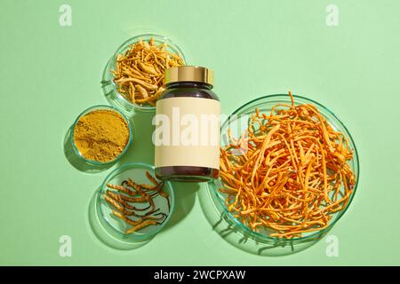 Flacone medico disposto al centro di diversi petri di vetro di Cordyceps Militaris, Cordyceps Sinensis e Cordyceps in polvere. I medici tradizionali Foto Stock