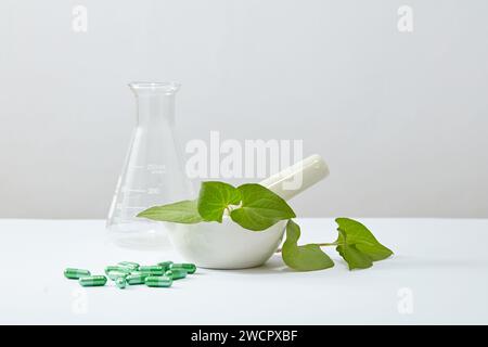 Un mortaio bianco contenente pestello e poche foglie di menta di pesce fresco. Sono presenti diverse capsule verdi. La menta di pesce (Houttuynia cordata) contiene fino a 80 esemplari Foto Stock