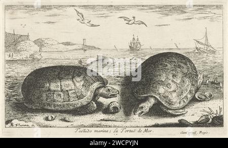 Due tartarughe sulla spiaggia, Albert Flamen, tipografia del 1664: Parisafter progetto proprio di: Parispublisher: Tartarughe di carta di ParisFrance, tartarughe Foto Stock