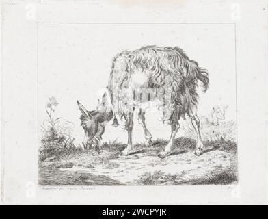 Capra al pascolo con campana, Diederik Jan Singendonck, After Reinhart, 1801 - 1833 stampa Utrecht paper etching she-goat, nanny-goat Foto Stock