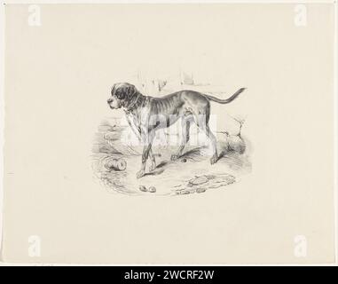 Cane su una catena, Anonymous, 1822 - 1845 stampa il cane in piedi è attaccato a una catena di ferro. Dordrecht, cane da guardia, cane da guardia Foto Stock