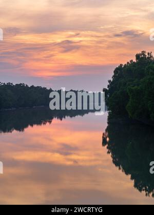 Paesaggio verticale colorato all'alba con riflessi di mangrovie nell'acqua, parco nazionale di Sundarbans, patrimonio dell'umanità dell'UNESCO, Bangladesh Foto Stock