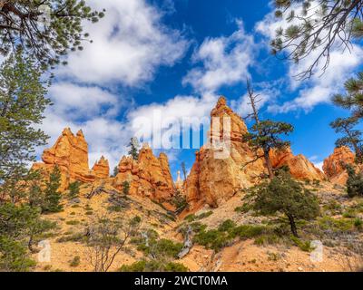 Bryce Canyon wiev nello Utah, Stati Uniti Foto Stock