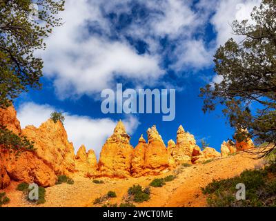 Bryce Canyon wiev nello Utah, Stati Uniti Foto Stock