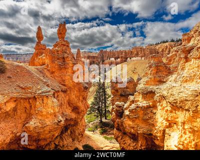 Bryce Canyon wiev nello Utah, Stati Uniti Foto Stock