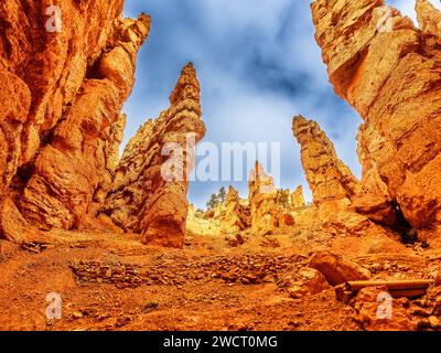 Bryce Canyon wiev nello Utah, Stati Uniti Foto Stock