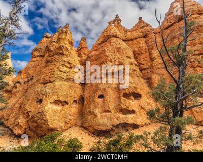 Bryce Canyon wiev nello Utah, Stati Uniti Foto Stock