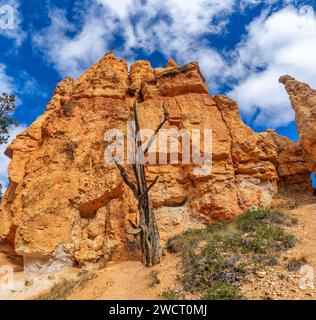 Bryce Canyon wiev nello Utah, Stati Uniti Foto Stock