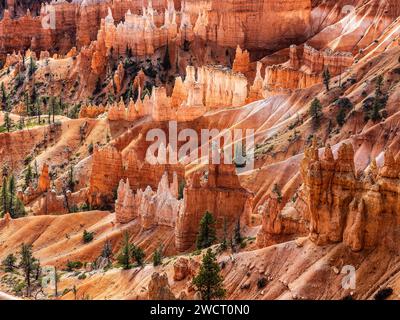 Bryce Canyon wiev nello Utah, Stati Uniti Foto Stock