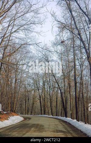 Una strada attraverso la foresta nazionale di Allegheny in Pennsylvania, Stati Uniti Foto Stock