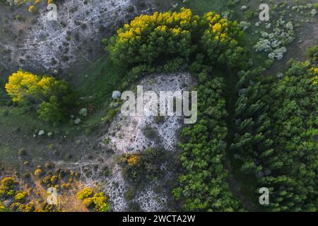 Vista dall'alto del paesaggio di Alcarria con aree contrastanti di alberi in fiore gialli e intricato pavimento di pietra calcarea bianca Foto Stock