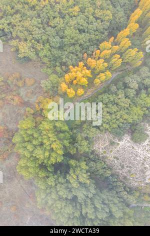 Vista dall'alto della nebbiosa vista aerea di una foresta di Alcarria con alberi gialli autunnali che penetrano nella nebbia Foto Stock