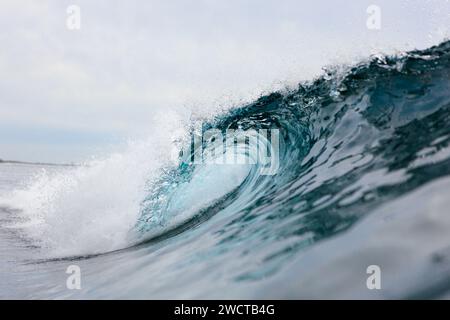 Un primo piano cattura la bellezza dinamica di un'onda oceanica ricurva con chiarezza e dettagli squisiti, mostrando la potenza del mare Foto Stock
