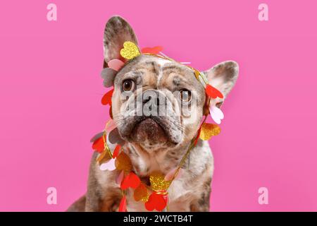 Grazioso Bulldog francese merle che indossa la ghirlanda di San Valentino con cuori su sfondo rosa Foto Stock