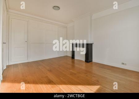 Spazioso interno di una camera vuota con pareti bianche, pavimento in legno duro e caminetto in marmo nero. Foto Stock