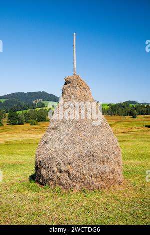 Traditioneller Heuhaufen 'Triste' im Moorgebiet Schwantenau, Kanton Schyz, Schweiz Foto Stock