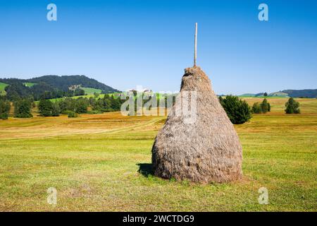 Traditioneller Heuhaufen 'Triste' im Moorgebiet Schwantenau, Kanton Schyz, Schweiz Foto Stock