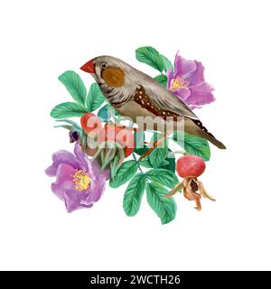 Rosa e uccello, fiori, bacche. Illustrazione grafica isolata su sfondo bianco. Cartoline, inviti, striscioni primaverili, imballaggio, etichette, coperture. Illustrazione Vettoriale