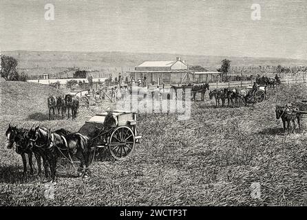 Settler Station. Bendigo. Victoria, Australia. Sei mesi in Australia 1878 da Desire Charnay (1828 - 1915) incisione del vecchio XIX secolo da le Tour du Monde 1880 Foto Stock