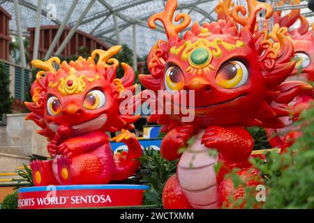 Doppio spettacolo di draghi rossi al Resorts World Sentosa mentre l'anno dei draghi sta arrivando nel 2024. Singapore. Foto Stock