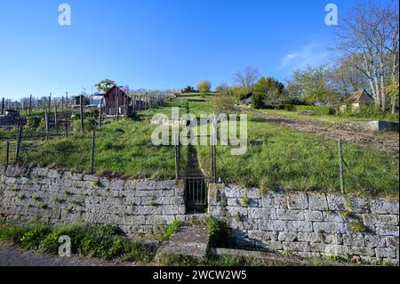 Prati e vigneti su ripidi pendii - l'uso di vecchi vigneti nella regione di Stoccarda Foto Stock