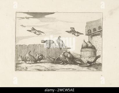 Duiven, Pieter Schenk (i) (attribuito a), dopo Francis Barlow, 1675 - 1711 stampano i piccioni su un cortile con tonnellate e con un giro in piccione. Acquaforte di carta di Amsterdam altri uccelli: dove Foto Stock