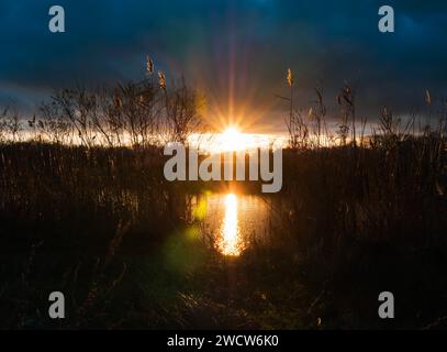 Il sole al tramonto brilla tra le fitte nuvole scure e illumina le canne sulla riva del fiume con illuminazione dorata Foto Stock