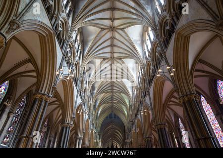 Lincoln, Lincolnshire, Inghilterra. Vista angolare bassa lungo la navata della Cattedrale di Lincoln, soffitto a volta in costola. Foto Stock