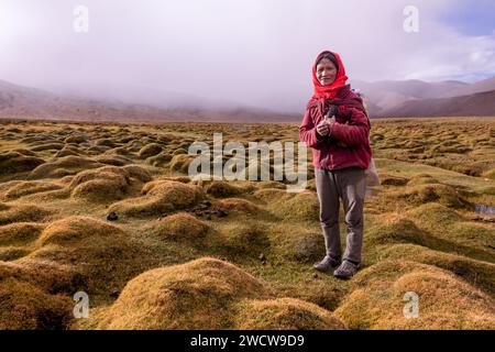 Testata femminile del popolo Changpa, Korzok, Ladakh, India Foto Stock