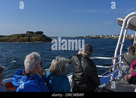 Traghetto Petrel, Port de Ile-de-Sein, Finistere, Bretagne, Francia, Europa Foto Stock