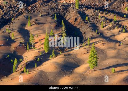 Fantastico il flusso di lava dal Cono di scorie, Parco nazionale vulcanico di Lassen, California Foto Stock