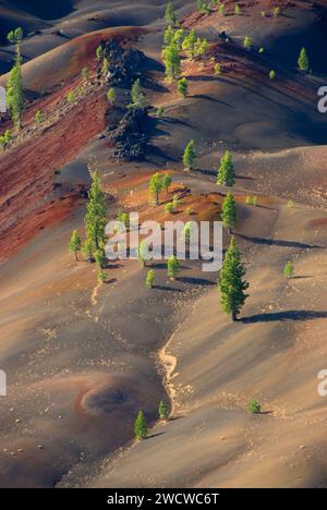 Fantastico il flusso di lava dal Cono di scorie, Parco nazionale vulcanico di Lassen, California Foto Stock