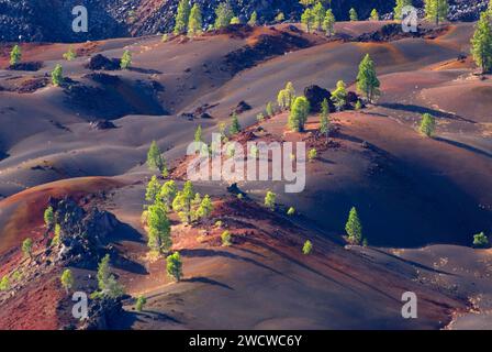 Fantastico il flusso di lava dal Cono di scorie, Parco nazionale vulcanico di Lassen, California Foto Stock