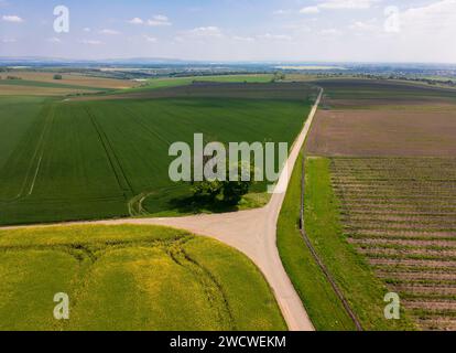 Piste ciclabili nella Moravia meridionale vicino alla città di Novy Poddvorov in estate Foto Stock