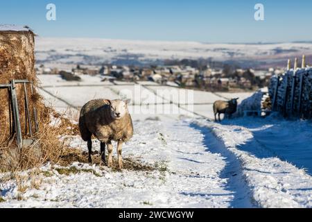 West Yorkshire, Regno Unito. 17 gennaio 2024. Meteo Regno Unito. Cieli azzurri e temperature gelide hanno portato nevicate a Queensbury, West Yorkshire, in quanto un freddo periodo invernale attraversa il paese mentre le temperature scendono sotto il gelo nelle colline Pennine. Crediti: Windmill Images/Alamy Live News Foto Stock