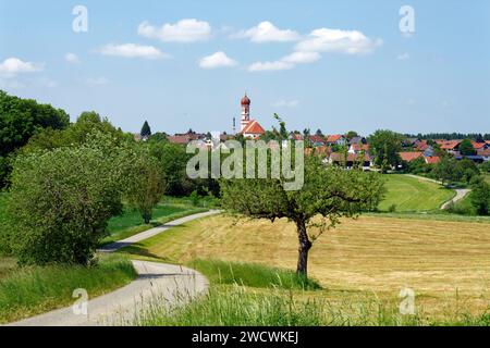 Germania, Bade Wurttemberg, alta Svevia, alta via barocca Svevia, Steinhausen an der Rottum, chiesa di pellegrinaggio dell'assunzione Foto Stock