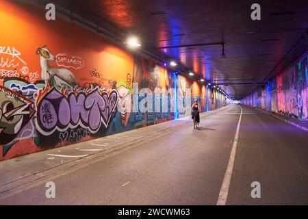 Francia, Parigi, Tuileries Tunnel, strada dell'arte di strada, arte urbana sulle rive della Senna Foto Stock