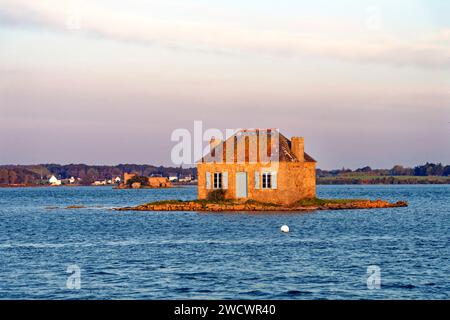 Francia, Morbihan, Belz, Etel river, Saint Cado, Nichtarguer isola Foto Stock